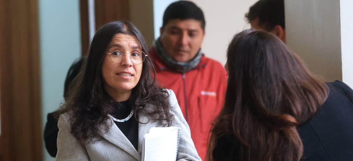 Abogada de hijos de Julia Chuñil cuestiona diligencias en Máfil: “En marzo de 2025 el georradar ya recorrió todo ese lugar”