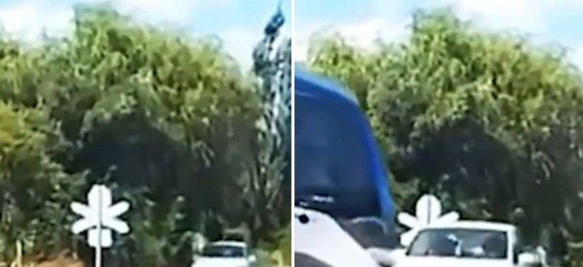 “Tenís que ser bien ahue...”: piden penas del infierno para chofer que zafó de milagro tras chocar con tren en Talca