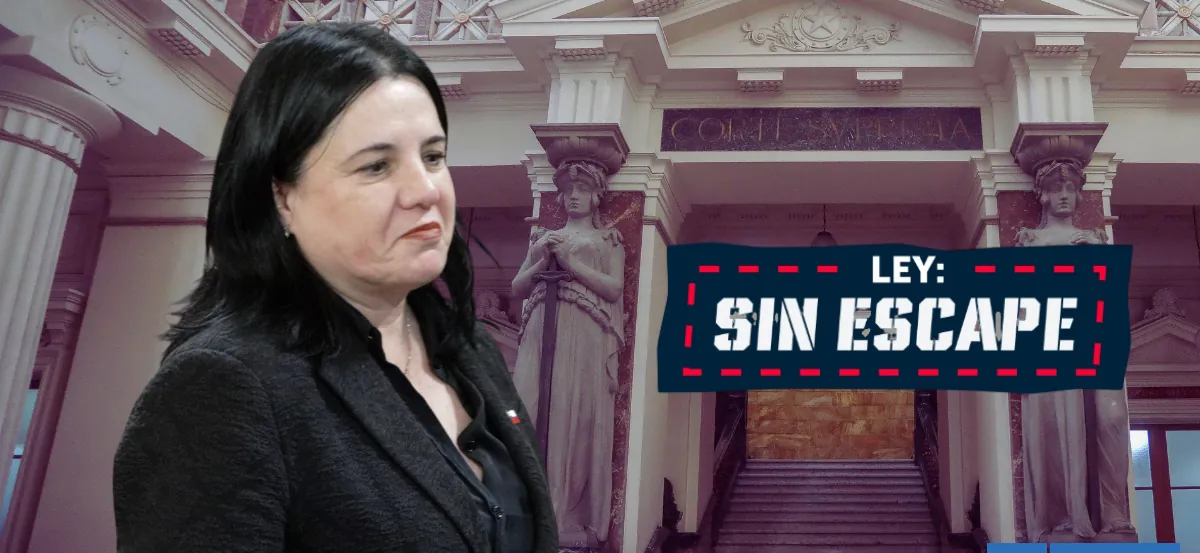 Corte Suprema hace reparos a la "Ley Sin Escape" de Steinert: advierte descoordinación normativa