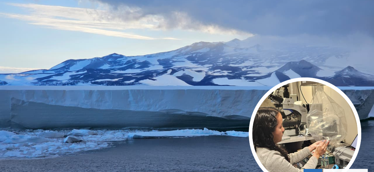 Fragmentos del océano que siguen activos