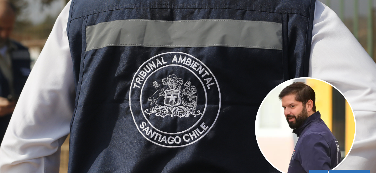 UDI acusa "amarre" de última hora: polémica por nominaciones del Gobierno en 2 tribunales ambientales