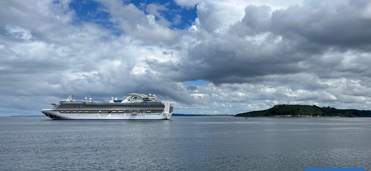 Puertos del Sur proponen mejoras estructurales para hacer más atractiva la Patagonia para los cruceros