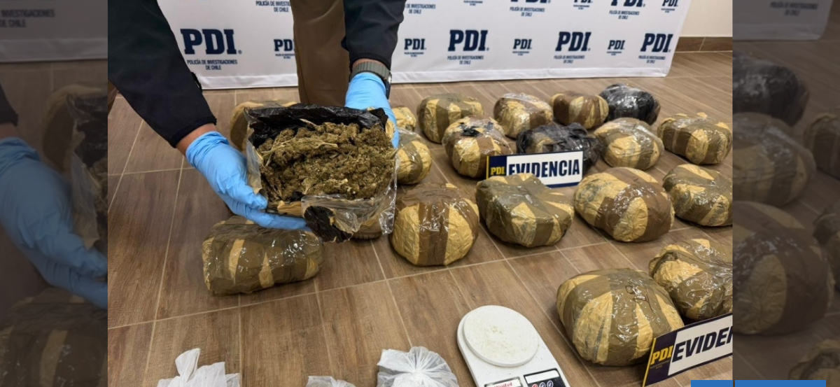 Frustran venta de marihuana en Noche Valdiviana: 22 kilos incautados y tres personas detenidas