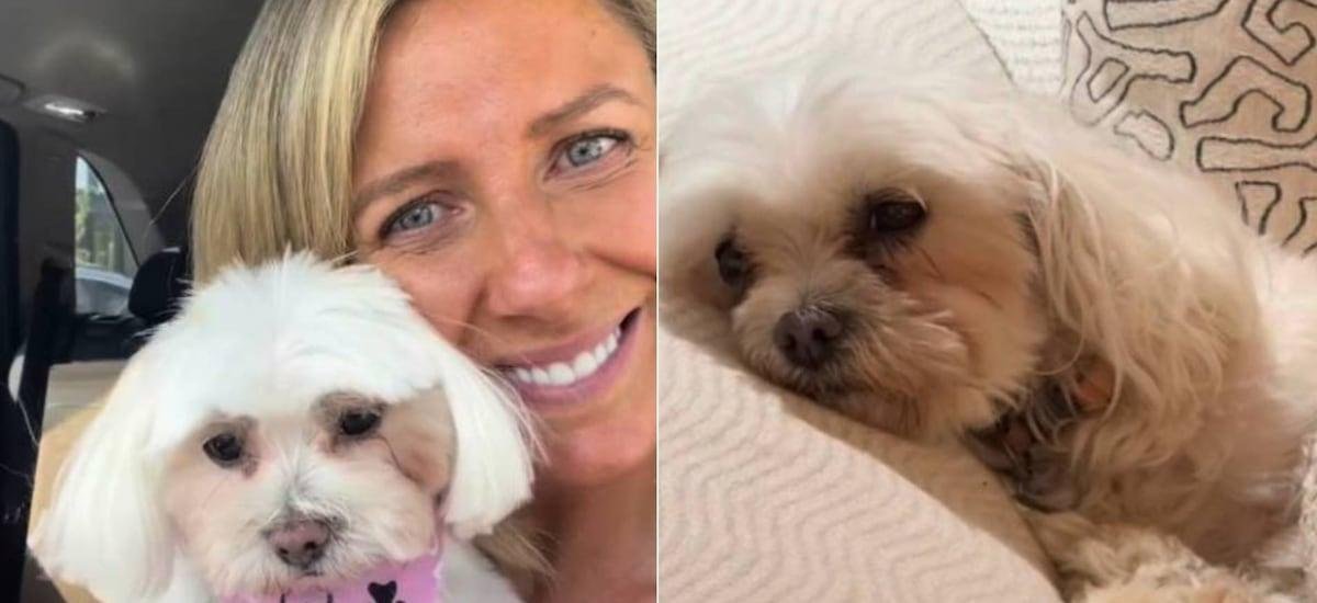 El desgarrador último adiós de Maca Tondreau a su perrita fallecida tras encerrona: compartió promesa que le hizo