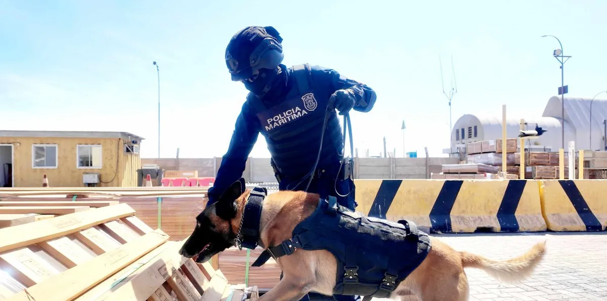 Masiva incautación de droga en Arica: Más de 68 toneladas de cocaína y ketamina iban ocultas en madera y caucho