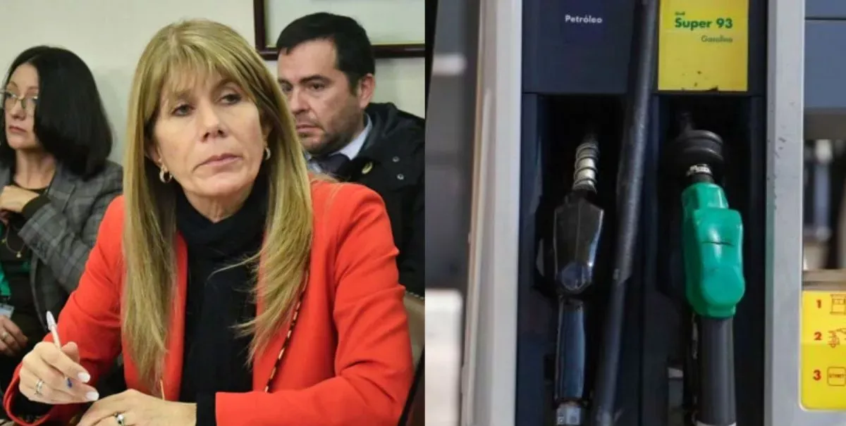 Ministra Rincón proyecta una baja de $100 en las bencinas "si todo sigue como está"