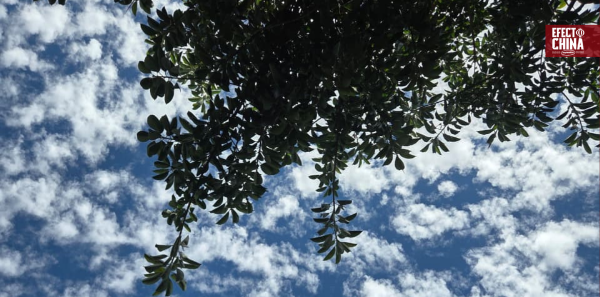 China mejora su calidad del aire y marca un récord histórico