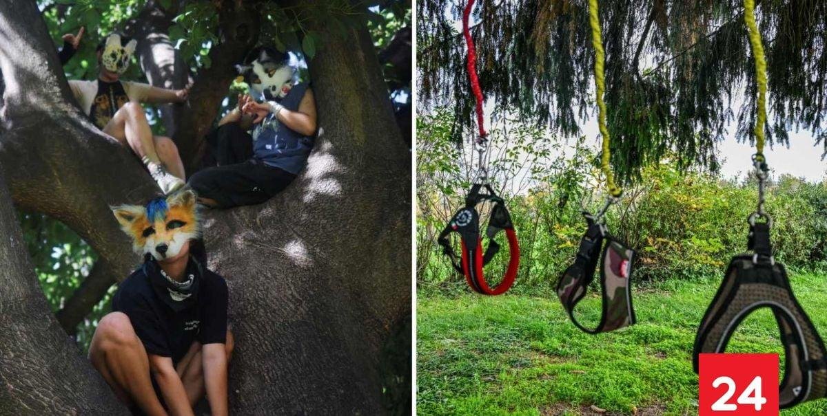 De los Therian al Hobby Dogging: ¿En qué consiste esta nueva tendencia viral?