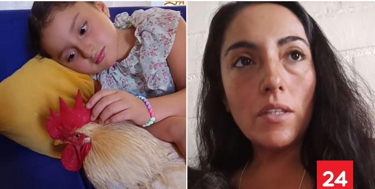 "Me dieron una semana para deshacerme de él": madre busca ayuda para proteger a su gallo tras reclamo de vecino