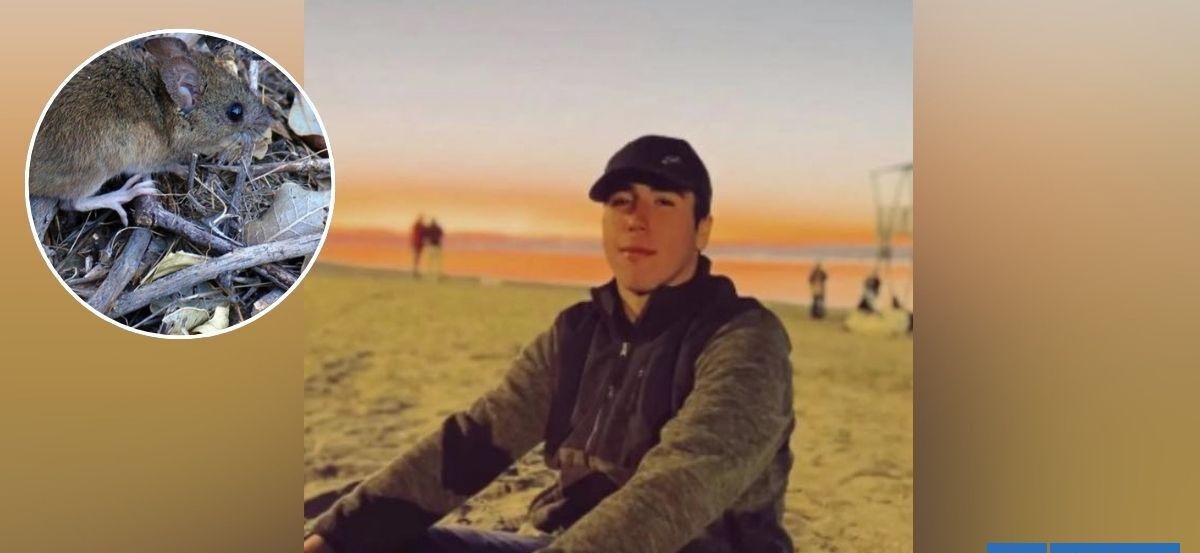 Salud inicia investigación epidemiológica por caso de Hantavirus en Penco: llaman a la calma