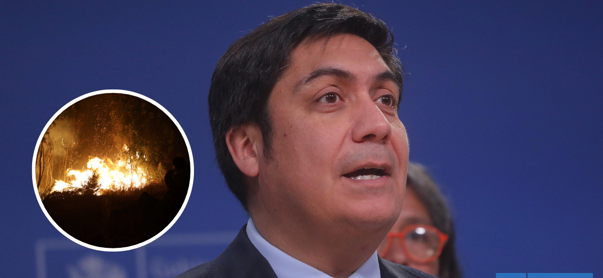 Agricultores refutan a subsecretario del Interior: afirman que incendios son intencionales