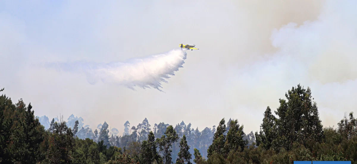 Gobierno declarará emergencia agrícola en La Araucanía por incendios: hay 400 productores con pérdidas
