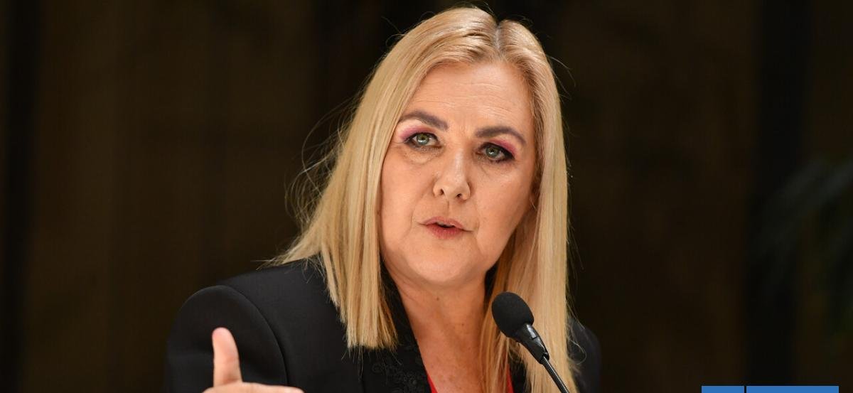 Jiles (PDG) insiste en retiros para damnificados de incendios e incentivar salida de inmigrantes