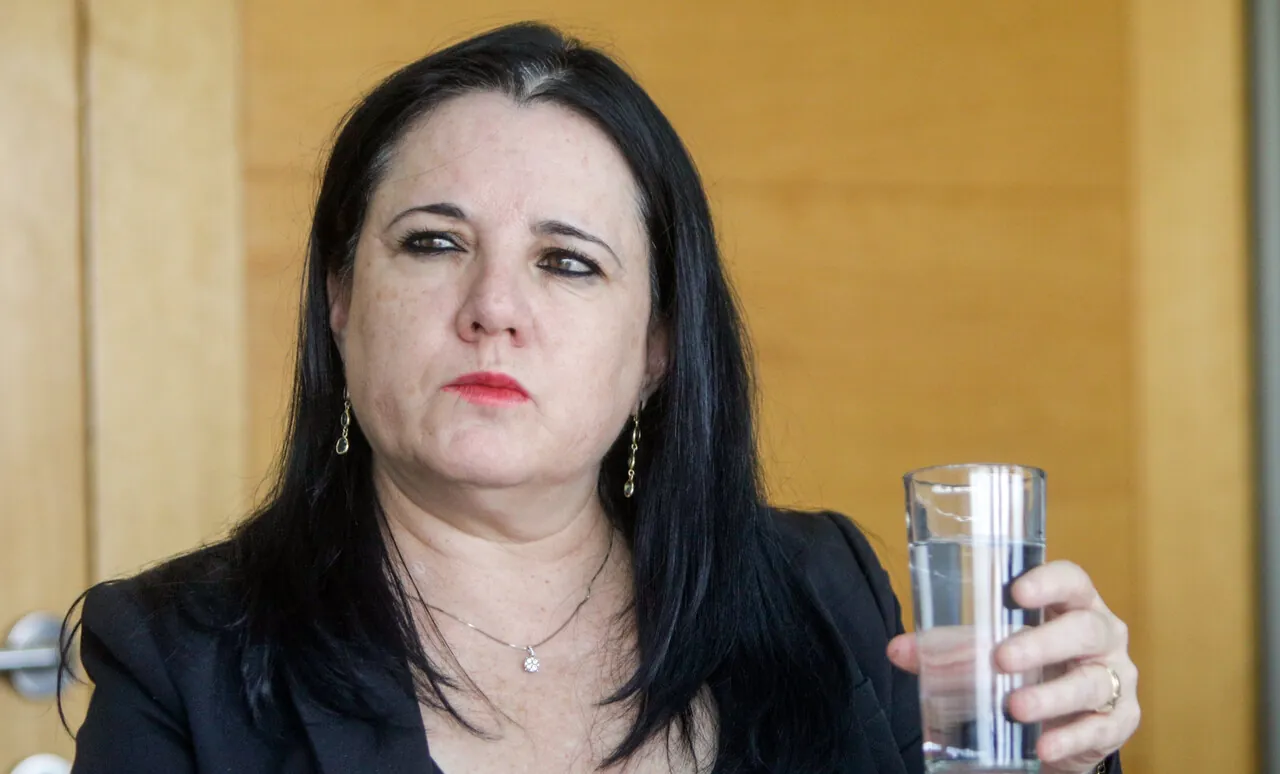 “Vamos a pedir las penas más elevadas que puedan existir”: Ministra Steinert tras visitar a carabinero baleado en Puerto Varas