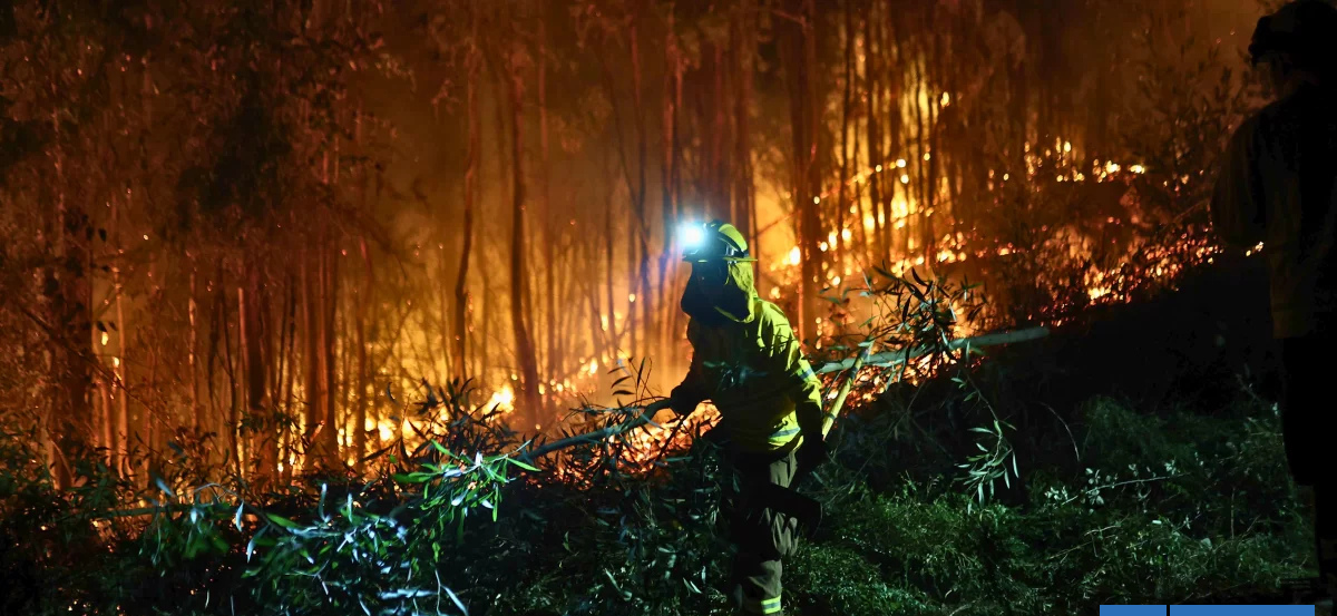 Conaf confirma intencionalidad en incendio forestal en Parque Vivero Alerce: hubo 5 focos simultáneos