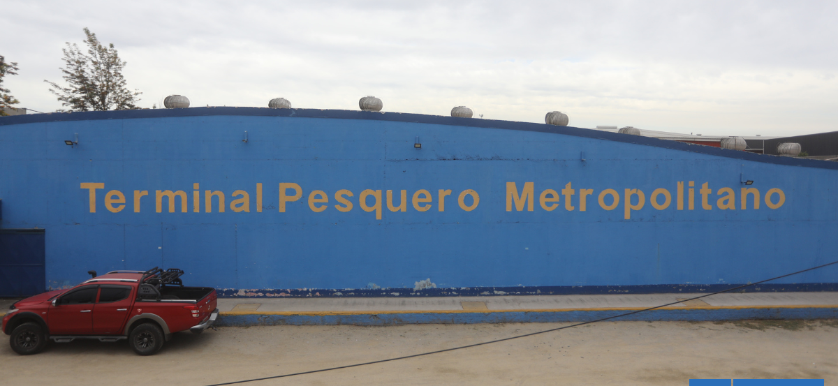 Diputadas piden fiscalización al Terminal Pesquero Metropolitano por denuncias a la administración