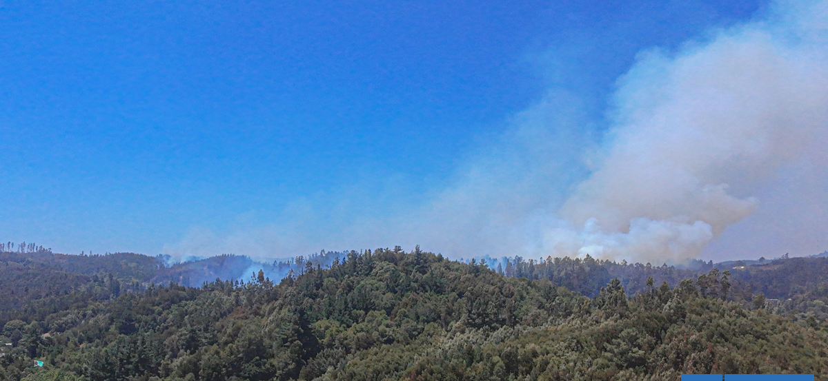 La Araucanía: agricultores molestos con Gobierno por emplazamiento sobre responsabilidad en incendios