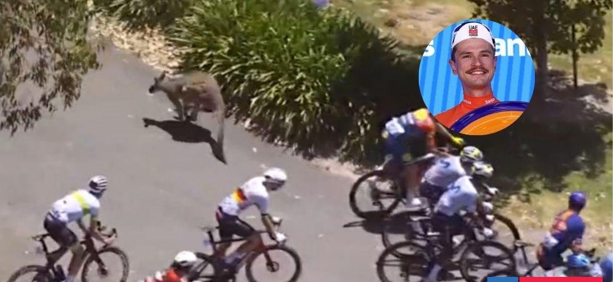 Canguro lo botó y aún así ganó: ciclista Jay Vine protagoniza particular accidente en Australia