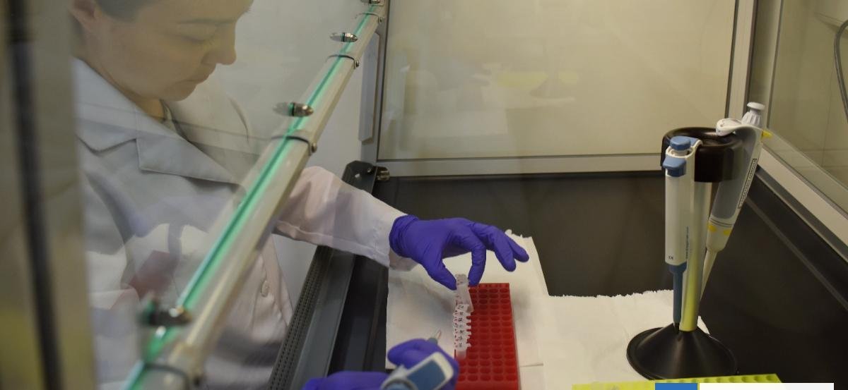 "De los concursos más competitivos": 9 proyectos UST obtienen Fondecyt de Iniciación en Investigación