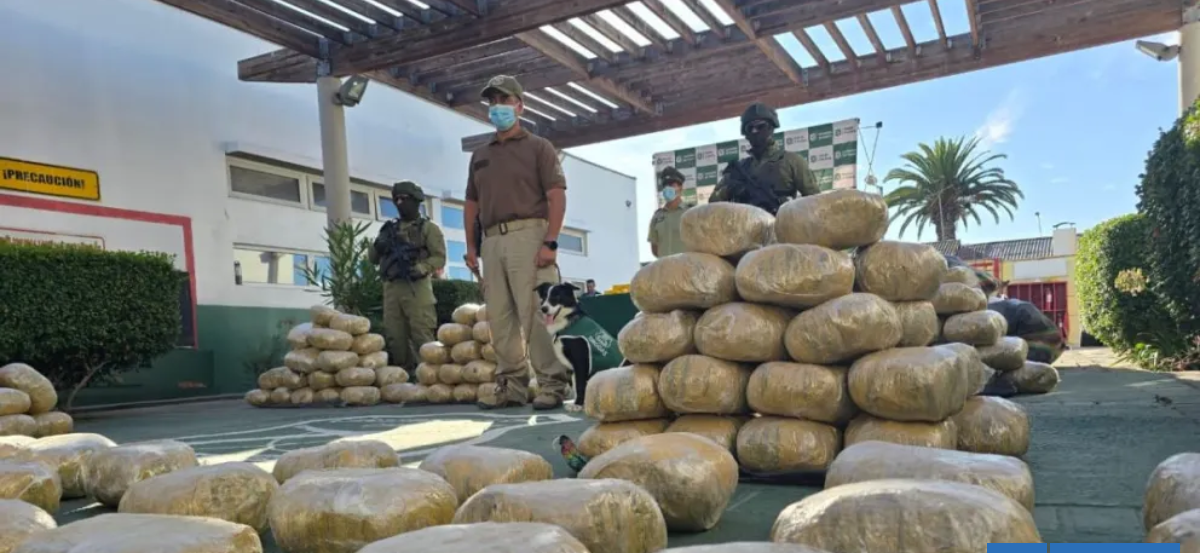 Cachorro del OS7 detectó 1,5 toneladas de droga en operativo que dejó a un detenido en Coquimbo