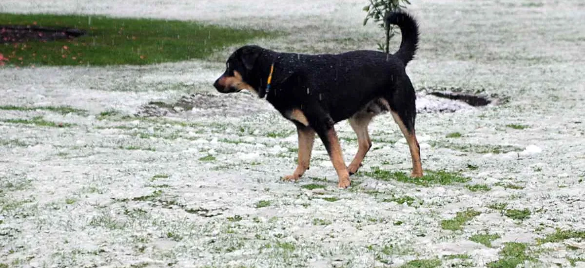 Anuncian un “fenómeno inusual” de lluvia y nieve en Santiago: cuándo y cómo será el evento