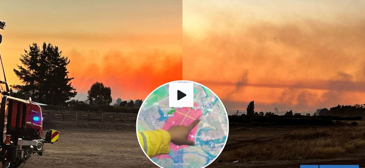 Incendios forestales mantienen bajo Alerta Roja a tres comunas en La Araucanía: hay evacuaciones