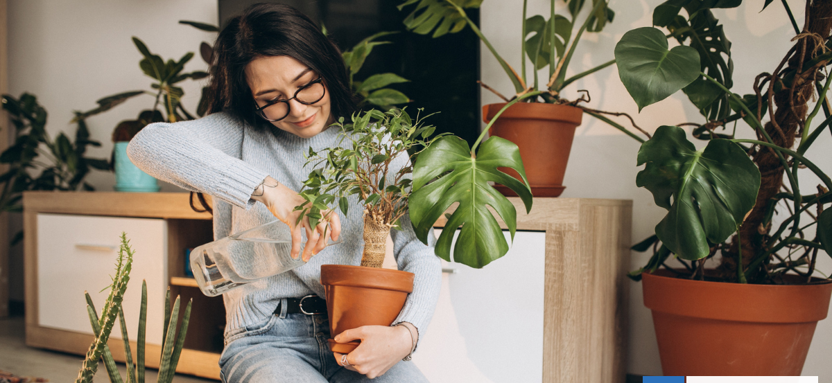 El real impacto de las plantas de interior en nuestra salud, según estudio