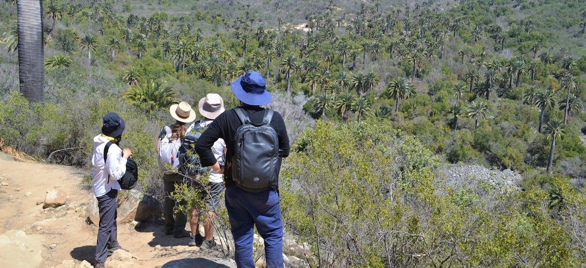 Conaf cierra el Parque La Campana y la Reserva Lago Peñuelas ante amenaza de incendios forestales