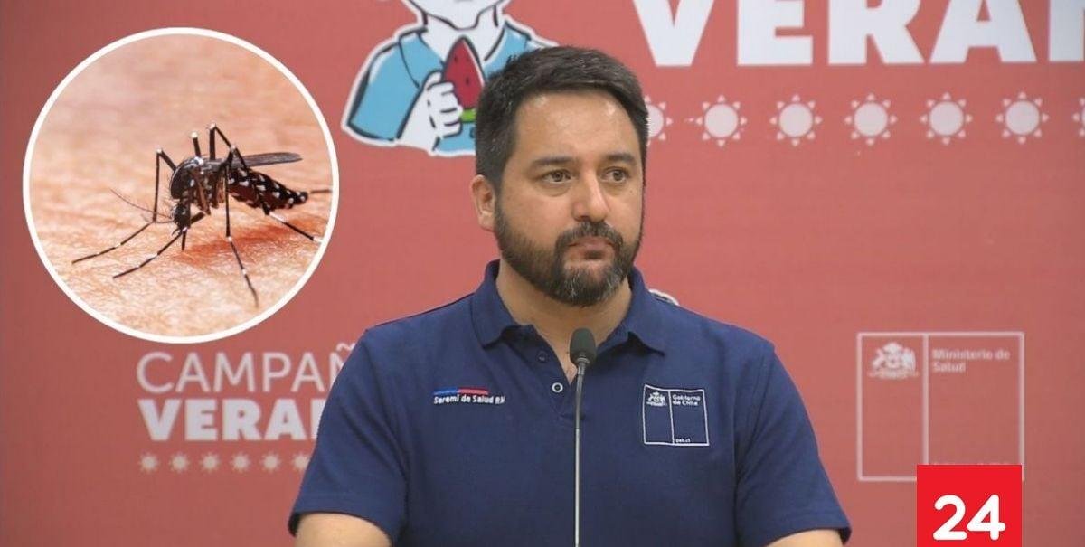 Alerta sanitaria por mosquito del dengue: ¿Cómo se transmite y cuáles son los síntomas?