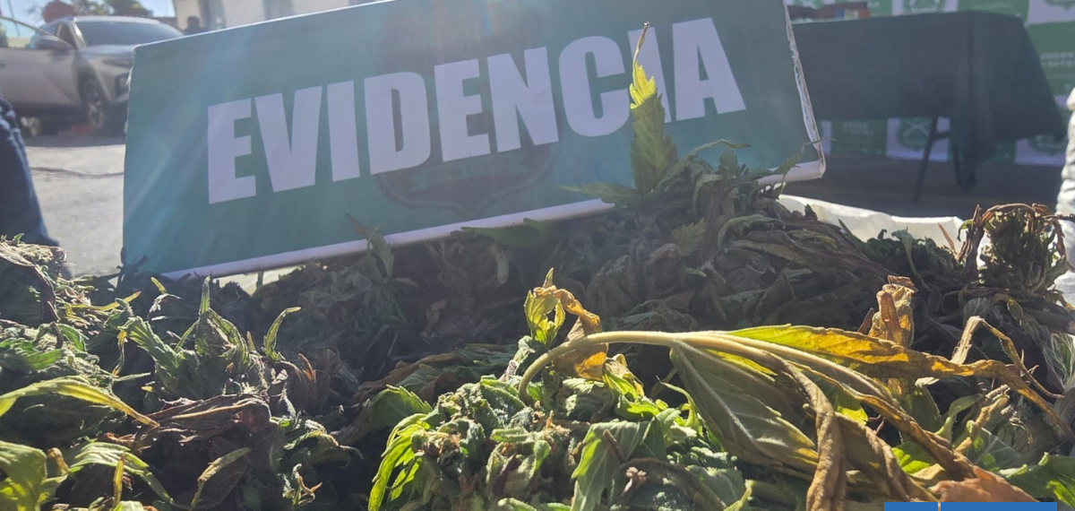 Con penas de hasta 18 años de cárcel terminó el mayor decomiso de droga en el Valle del Elqui