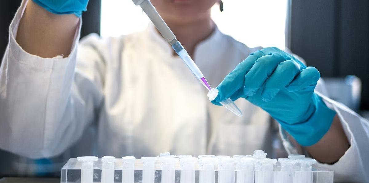 Victoria contra el cáncer de páncreas: científicos españoles lograron la curación completa en ratones