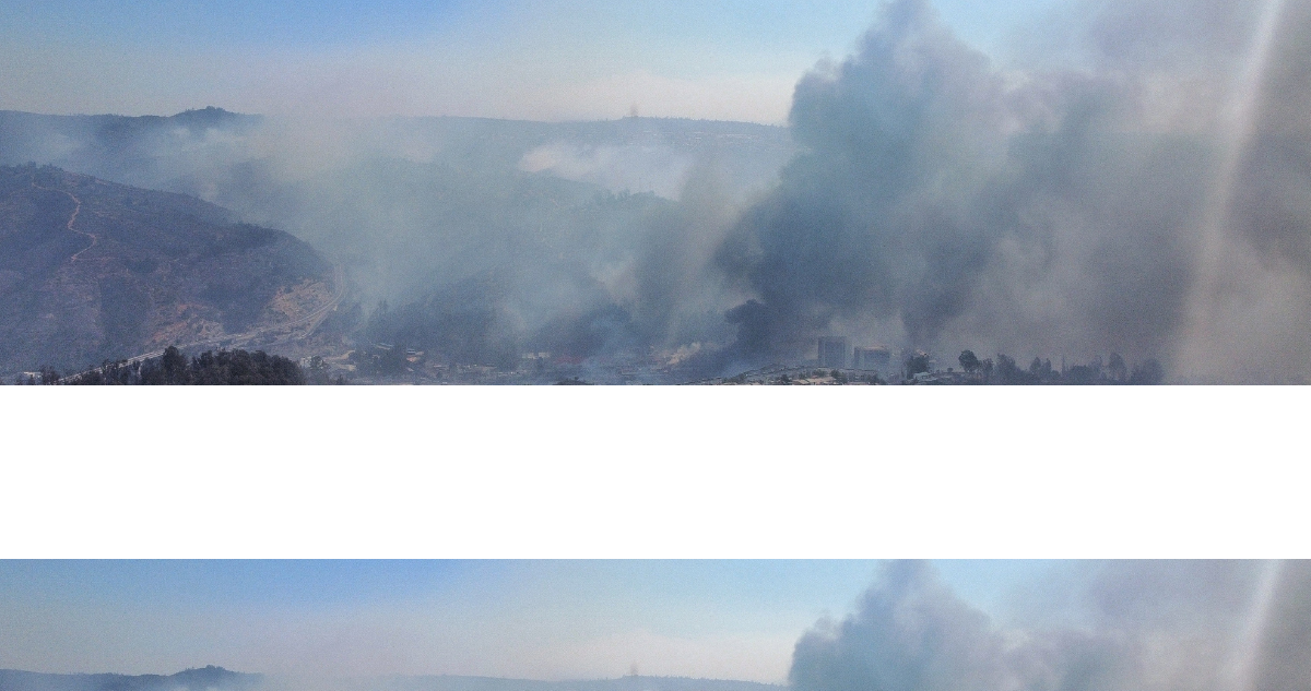 Revelan que desidia comunicacional de Conaf retrasó evacuación en mortal megaincendio en Valparaíso