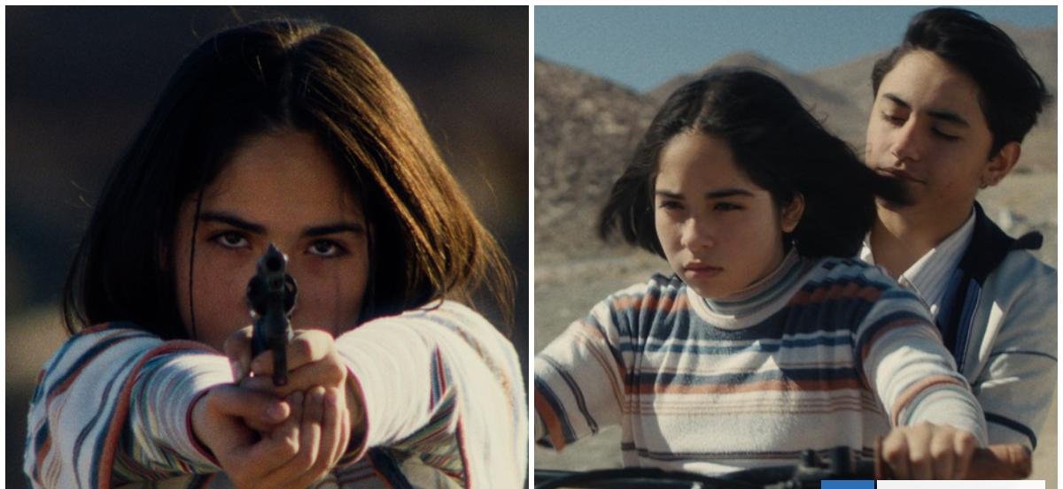 "La Misteriosa Mirada del Flamenco": dónde ver la película chilena que impactó al mundo en 2025