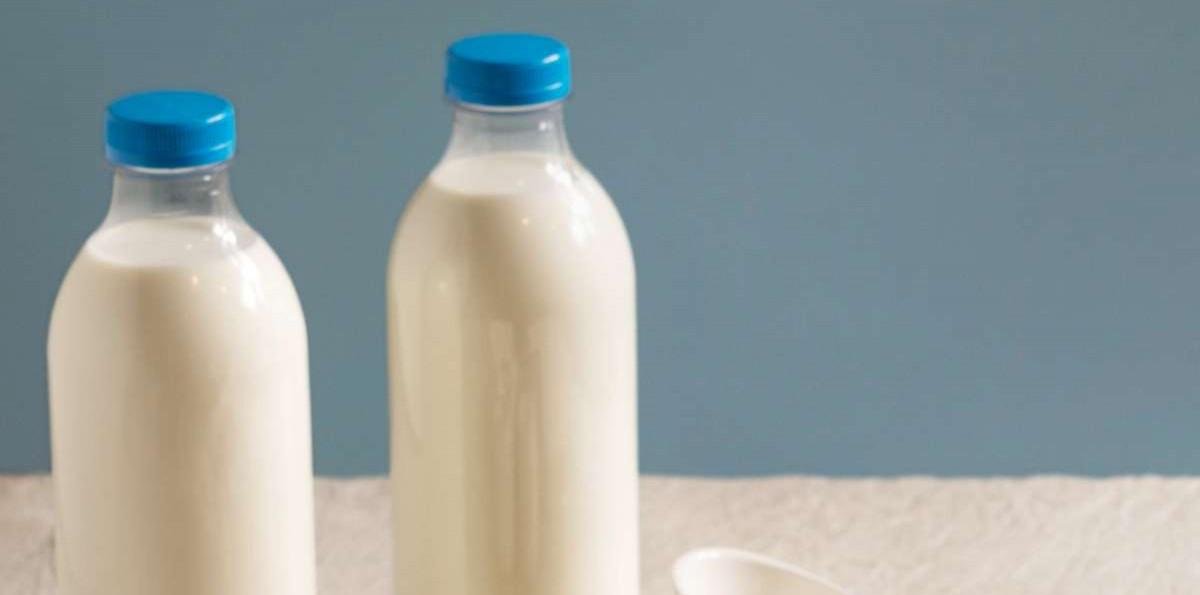 Cierra empresa chilena de lácteos tras 56 años de funcionamiento: Estos son los motivos