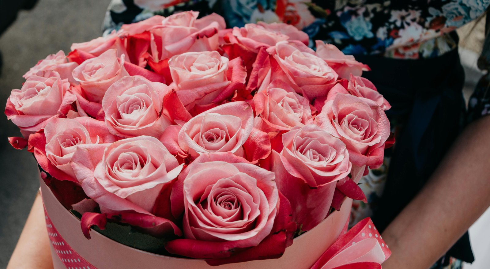 Panoramas para celebrar el 14 de febrero: Concierto en el Planetario USACH, San Valentín en la Blondie y trekking en Peñalolén