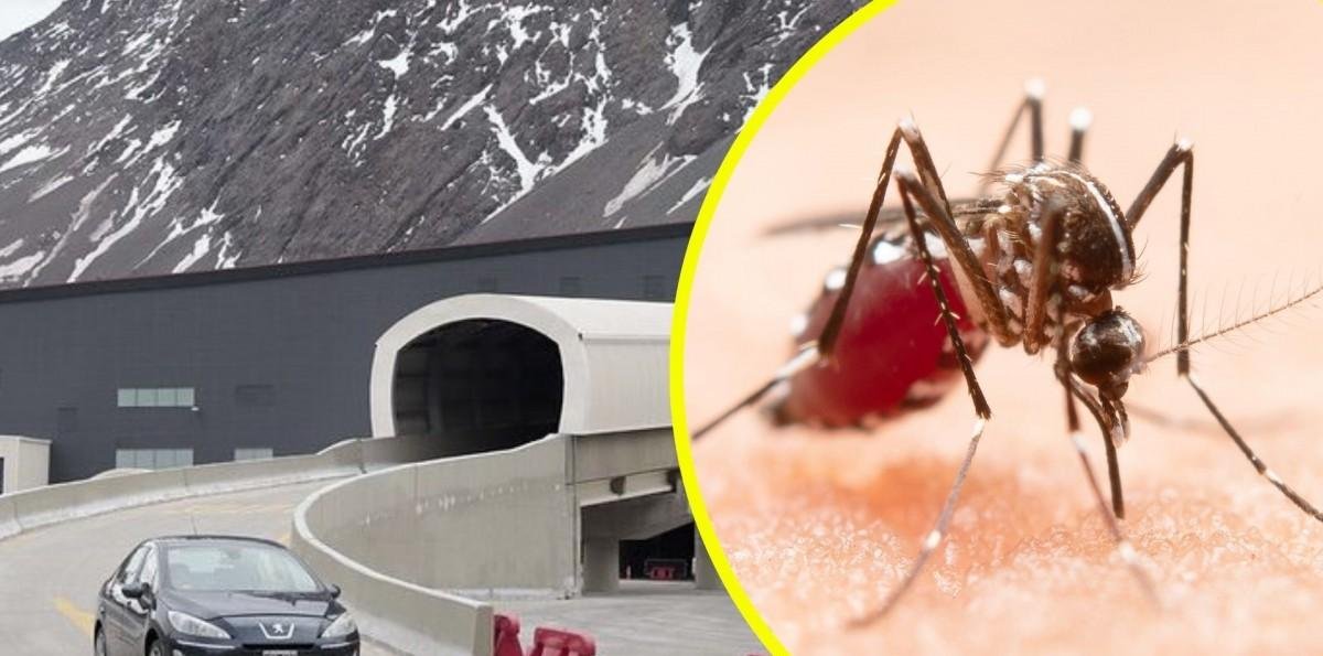 Cierran el Paso Los Libertadores tras detectar mosquito sospechoso de transmitir dengue