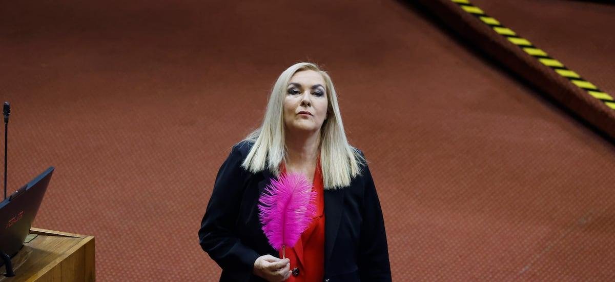 Oficialismo, DC y PDG acuerdan impulsar a Pamela Jiles para presidir la Cámara de Diputados