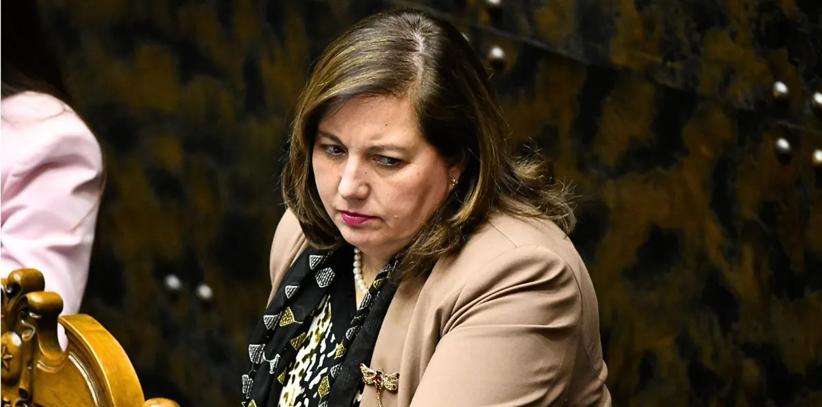 “No sé cuánta fuerza puede tener”: las dudas de Vodanovic sobre la mesa de diálogo por megarreforma