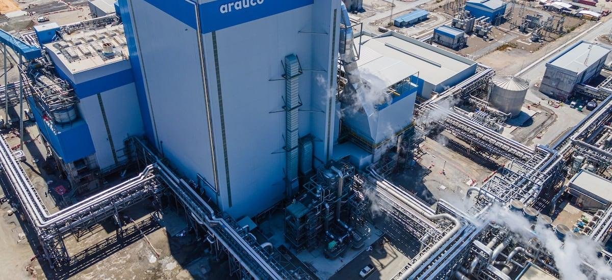 Arauco cerró 2025 con fuerte caída en sus ganancias ante menores precios de la celulosa