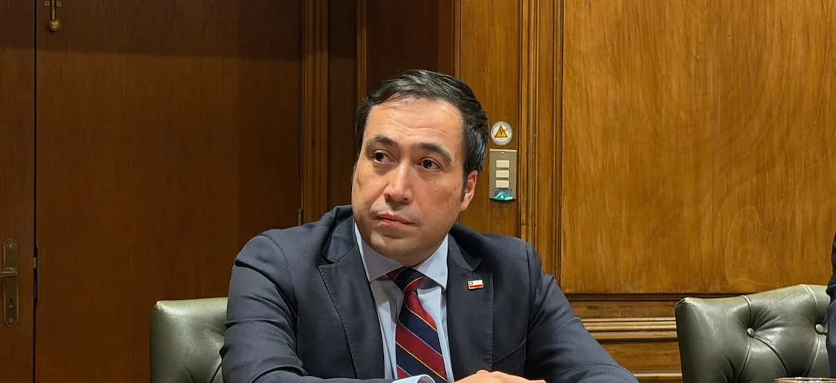 Quién es Gonzalo Guerrero, el nuevo subsecretario de Prevención del Delito