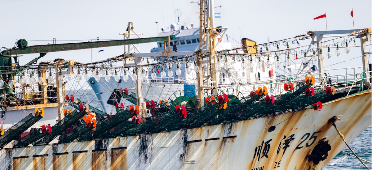 Informe internacional alerta por abusos laborales y daños ambientales en flota china que caza jibias en el Pacífico