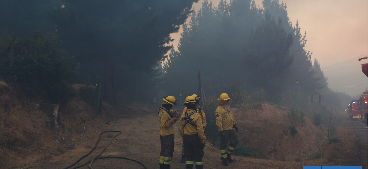 Gobierno se querella contra acusado de iniciar incendio en La Araucanía: 5 siniestros en combate
