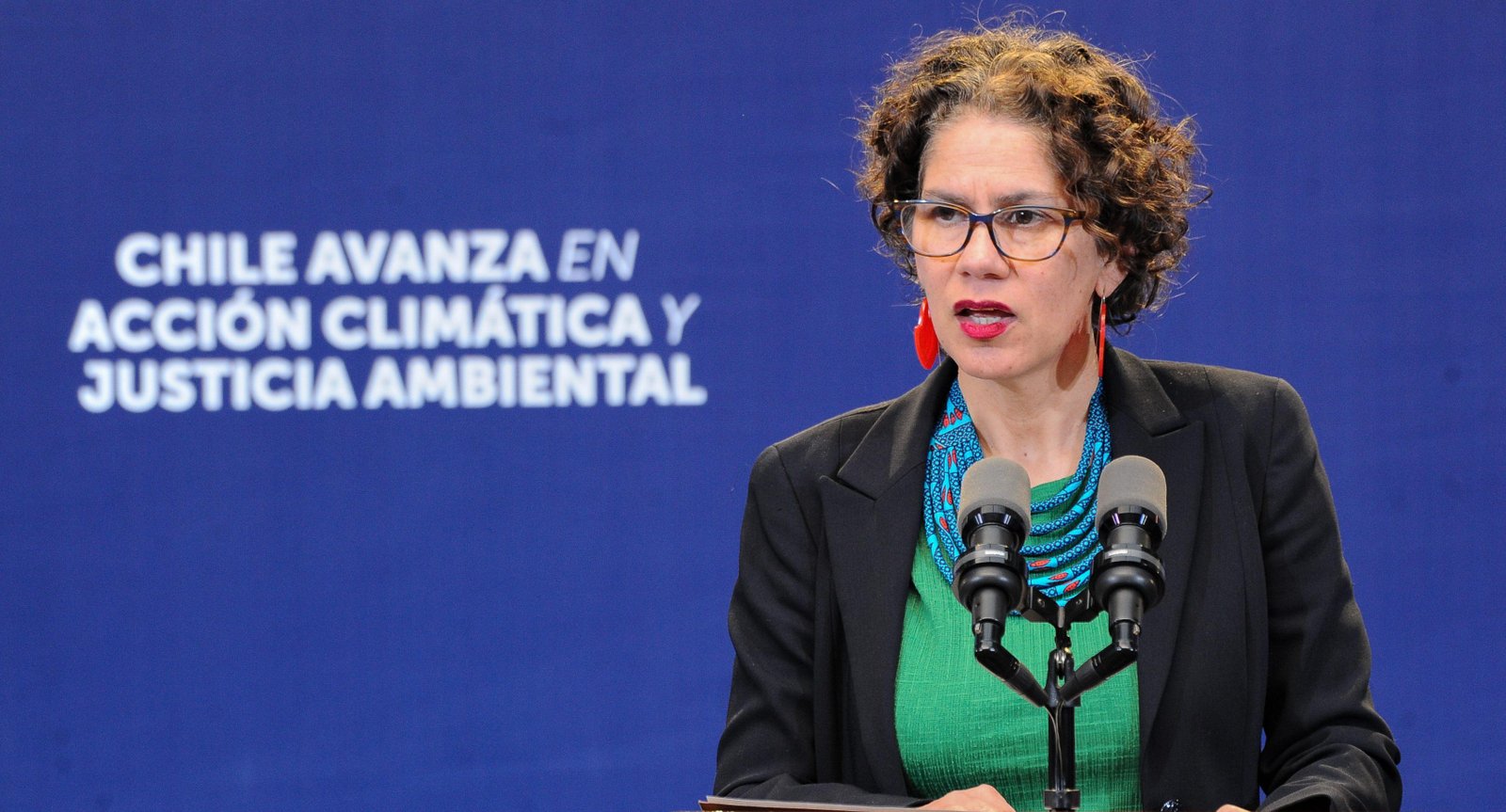 “Confirma lo que hemos venido planteando”: Ministra Maisa Rojas tras fallo que anula resolución del Primer Tribunal Ambiental sobre Dominga