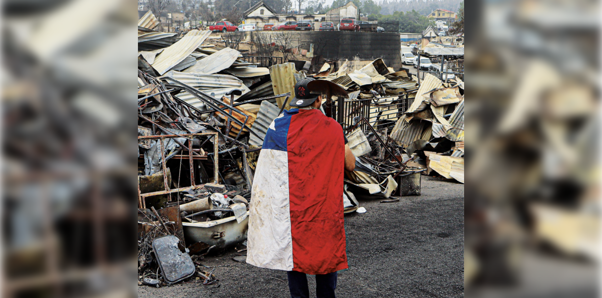 Cuando la tierra tiembla y el bosque arde