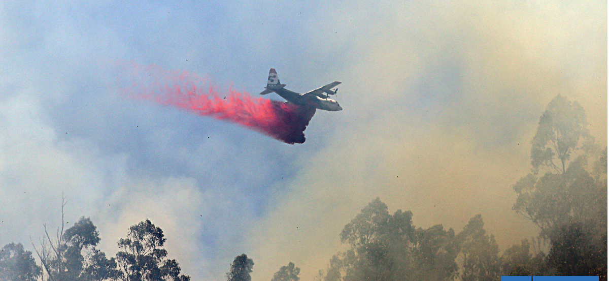 Balance Conaf: 18 incendios forestales en combate y más de 41 mil hectáreas quemadas en 3 regiones
