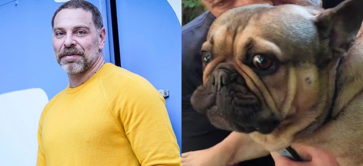 En coma inducido y con ventilación mecánica: el inesperado problema de salud que complica a perrito de Neme, “Frodo”