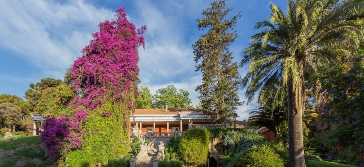 Viña Santa Rita reporta pérdidas por casi $6 mil millones en medio de caída global de consumo de vino