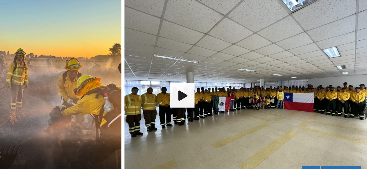 Brigadistas mexicanos regresan a su país tras prestar apoyo en combate de incendios en La Araucanía