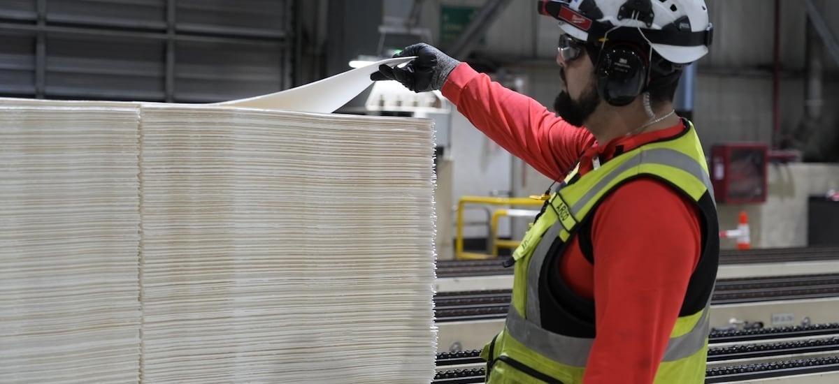 ¿Qué es Celulosa Arauco y cuál es su rol en la industria forestal?
