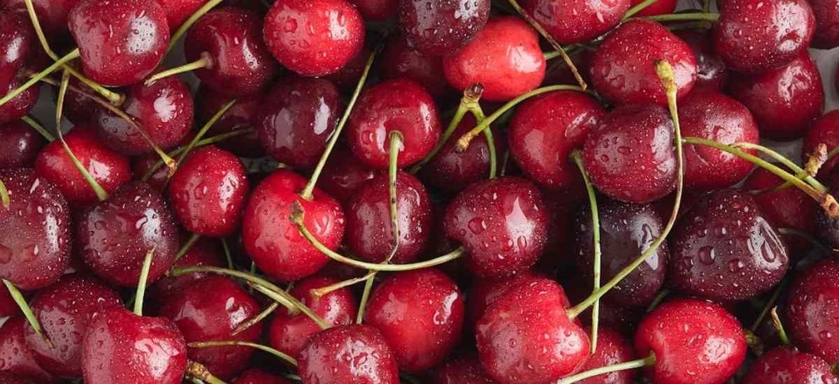 Temporada de cerezas: precios de la fruta roja caen por descalce entre cosecha y Año Nuevo chino